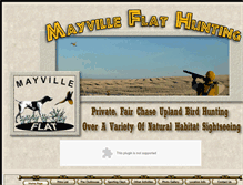 Tablet Screenshot of mayvilleflat.com